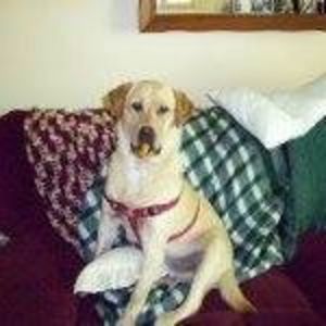 Meet your Posher, Norma